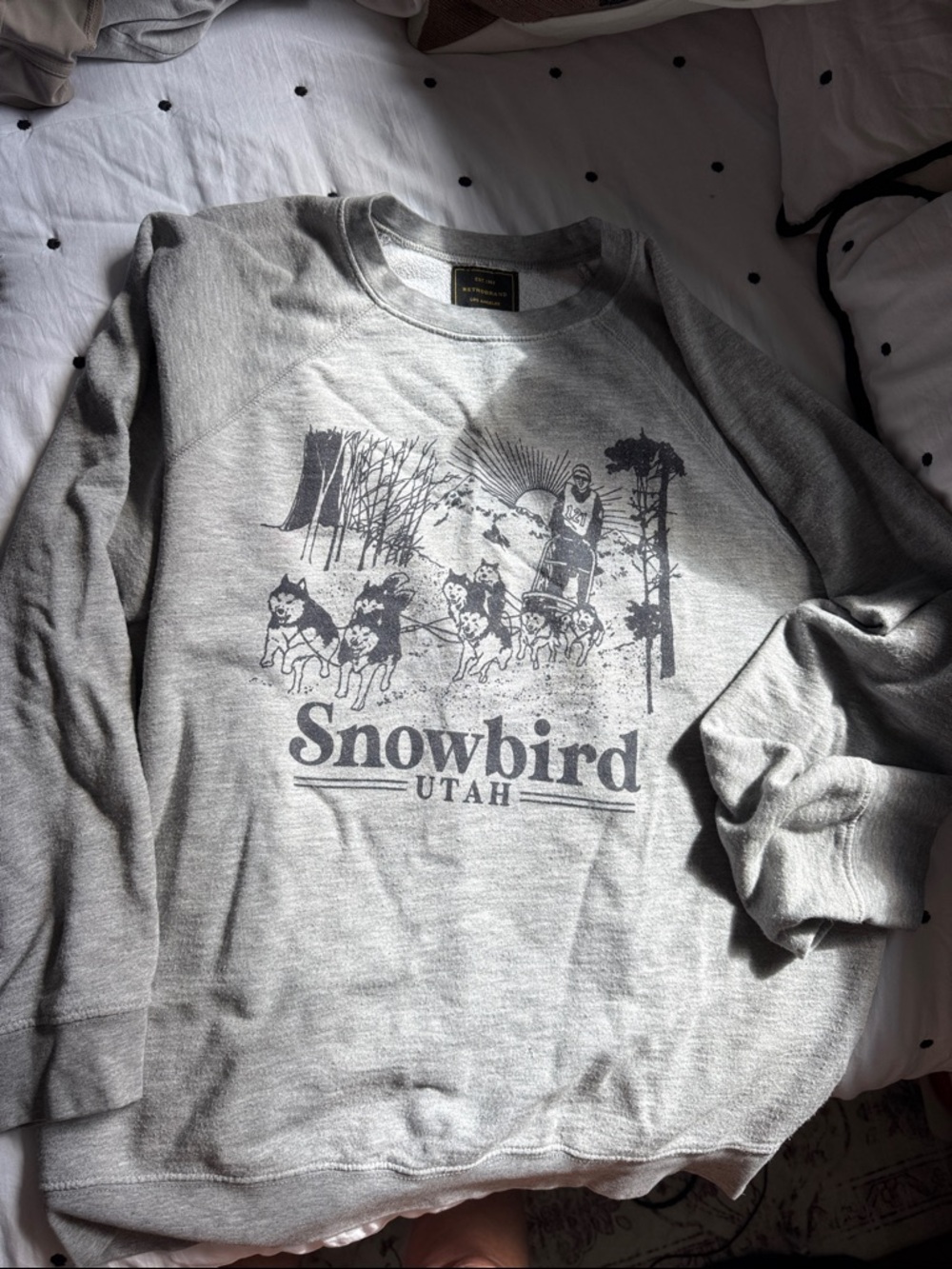 Free People Snowbird Utah Gray Graphic Pullover Sweatshirt